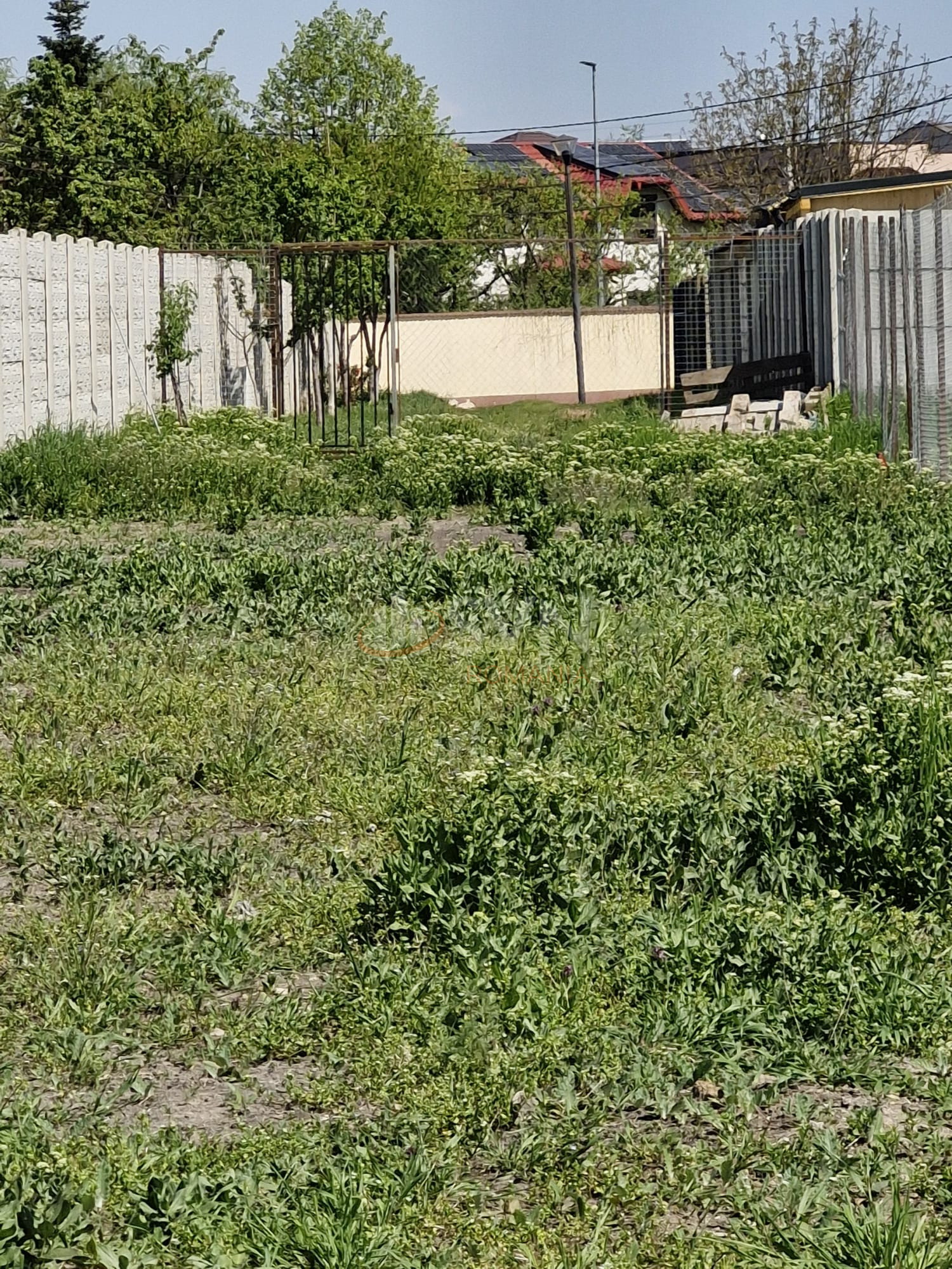 Teren 654 mp Ilfov/Bragadiru