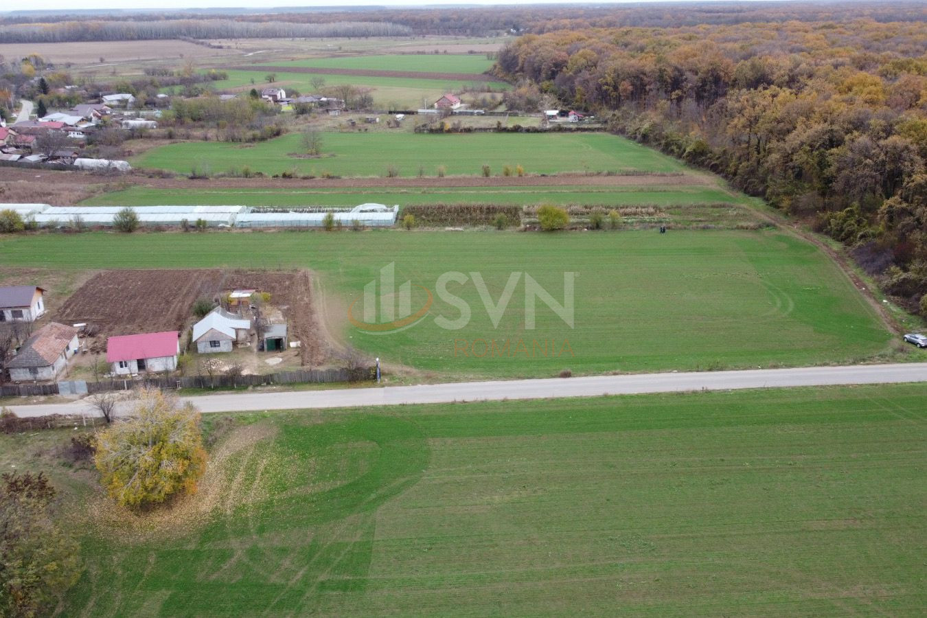 Teren 6959 mp Ilfov/Nuci