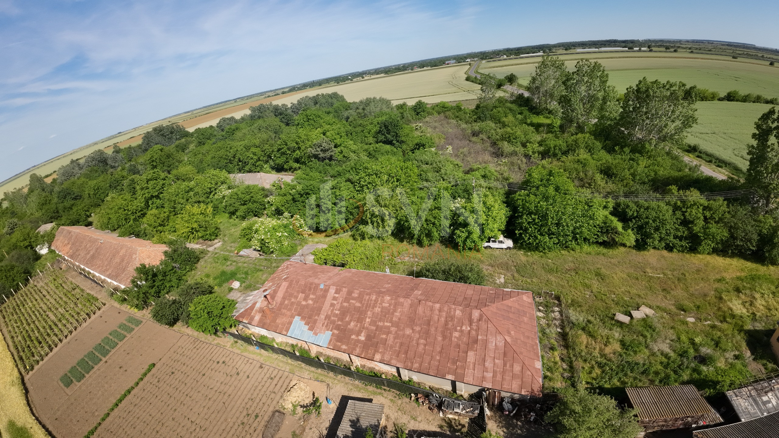 Teren 70291 mp Ilfov/Nuci