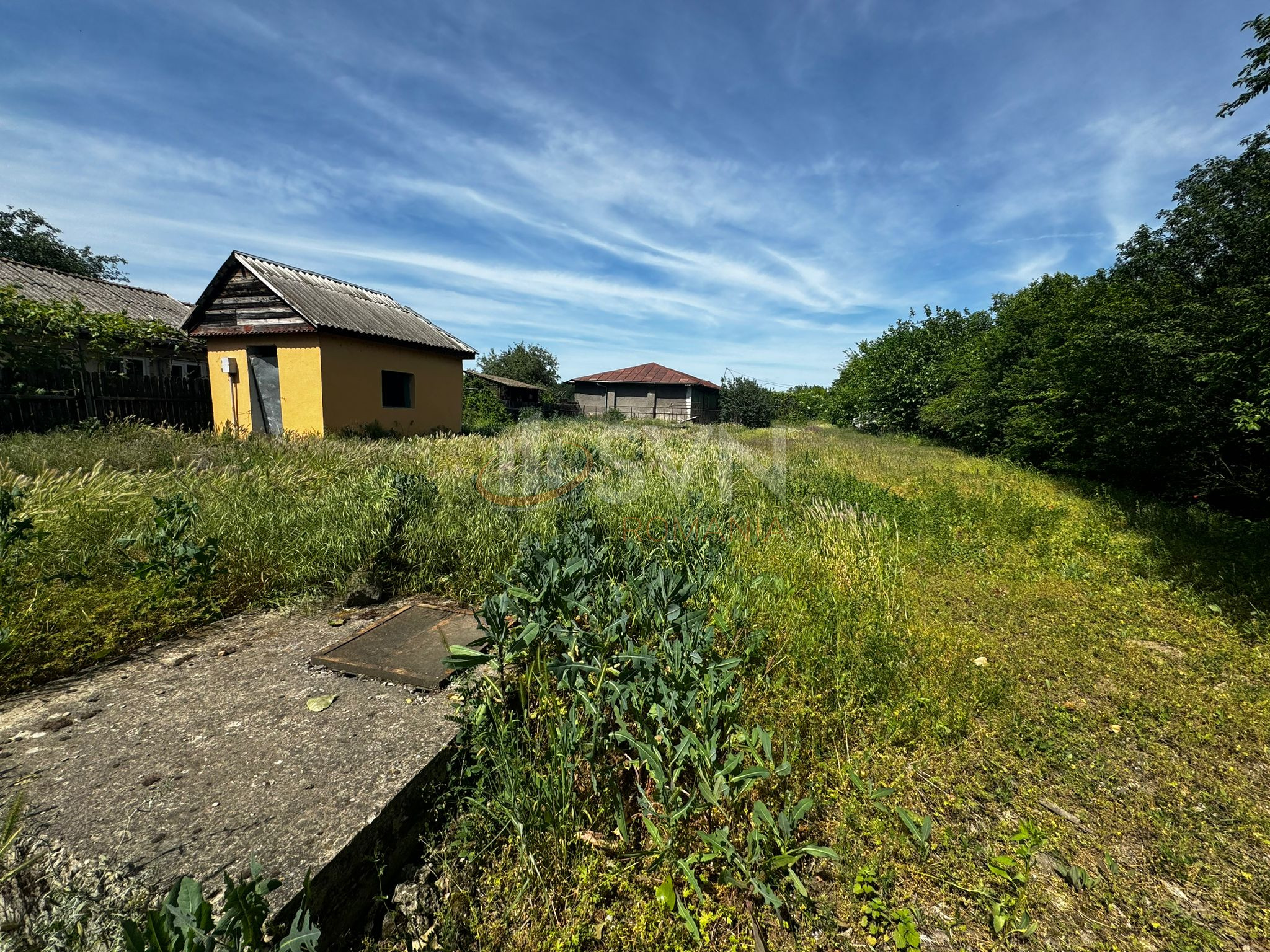 Teren 70291 mp Ilfov/Nuci