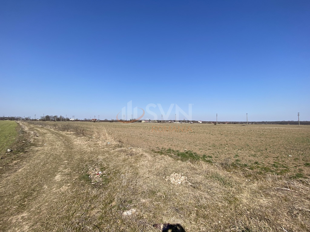 Teren 7400 mp Ilfov/Snagov