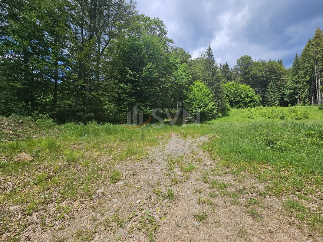 Teren 7546 mp Prahova/Centru