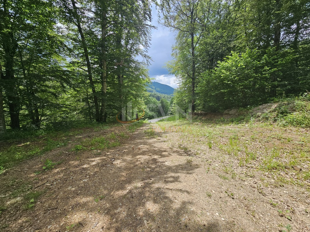 Teren 7546 mp Prahova/Centru