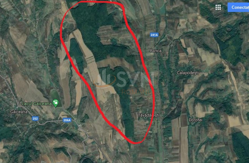 Teren 770000 mp Bacau/Centru