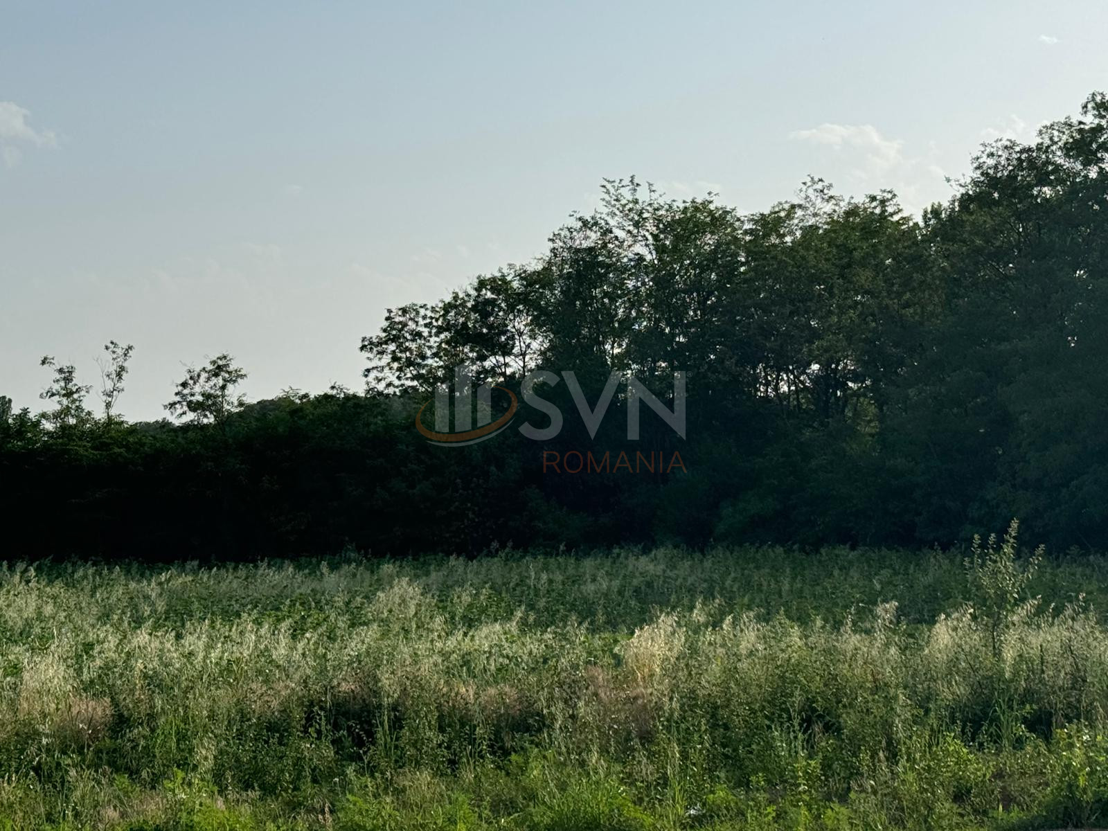 Teren 800 mp Ilfov/Balteni