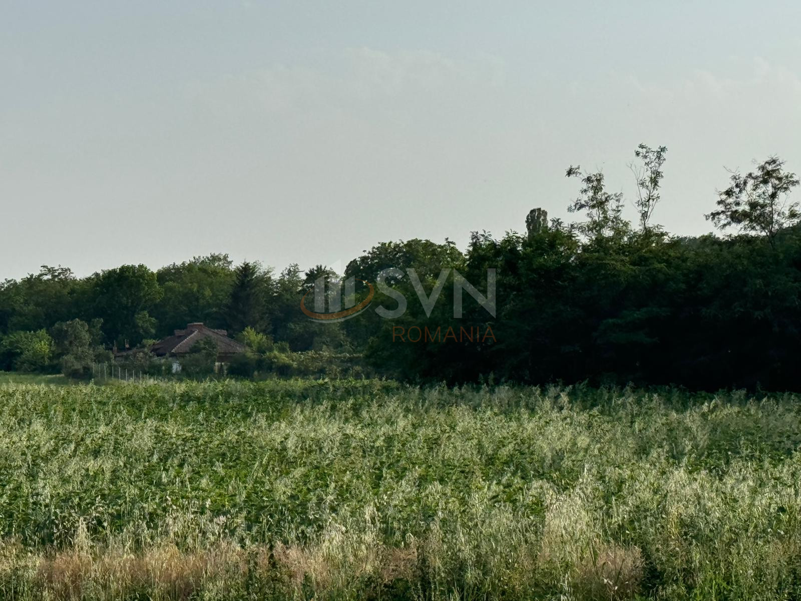 Teren 800 mp Ilfov/Balteni