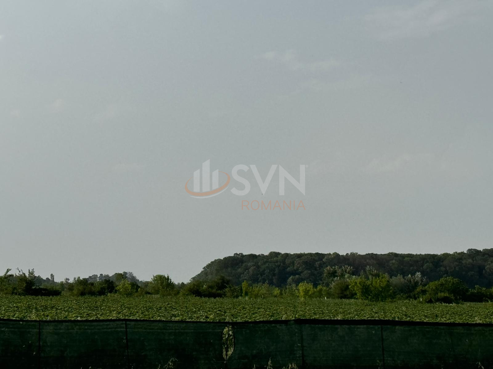 Teren 800 mp Ilfov/Balteni