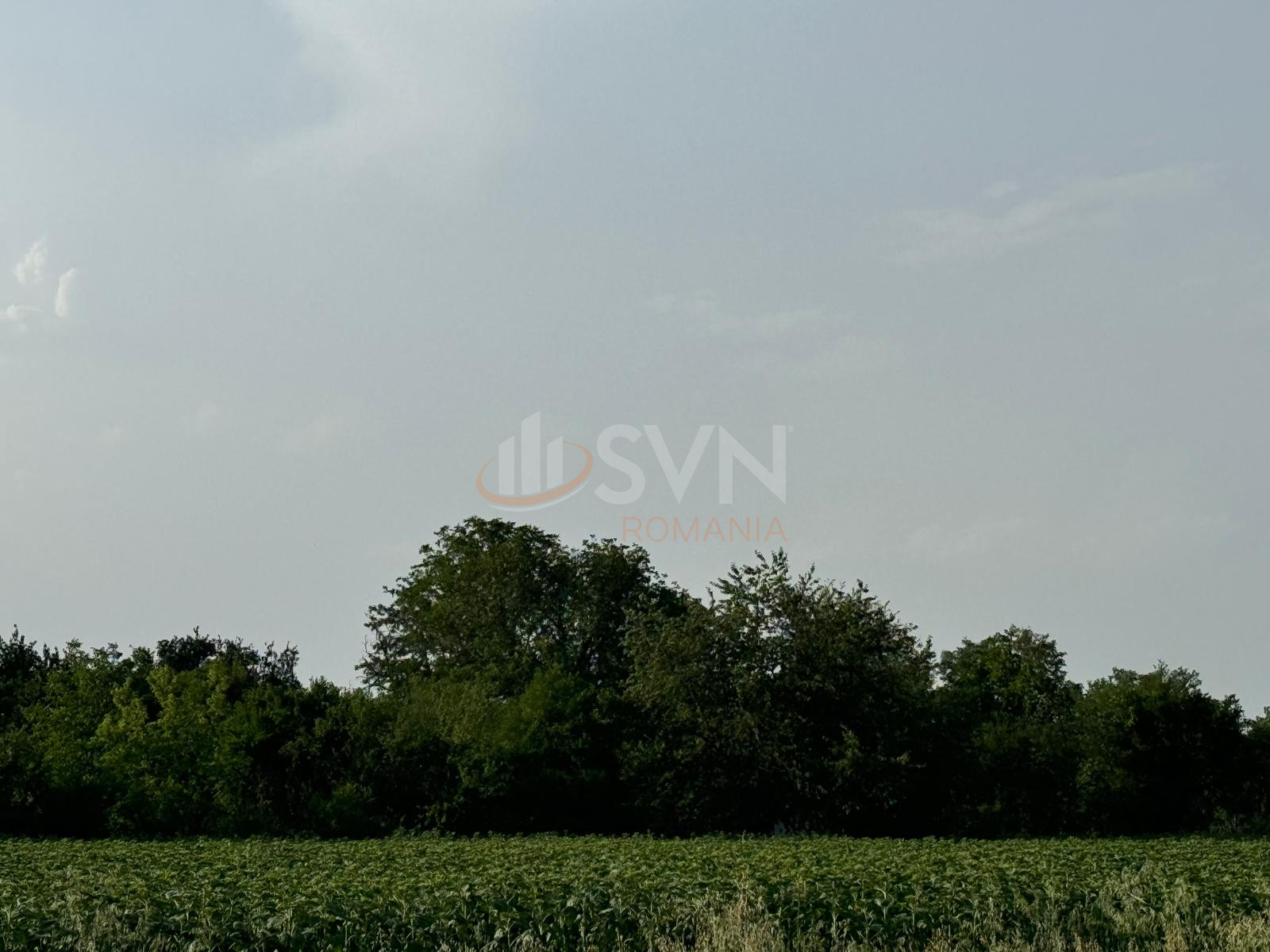 Teren 800 mp Ilfov/Balteni