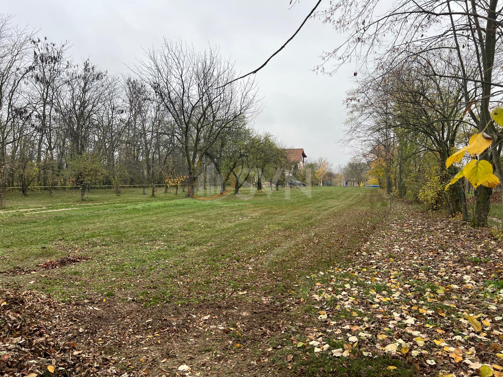 Teren 8000 mp Ilfov/Snagov