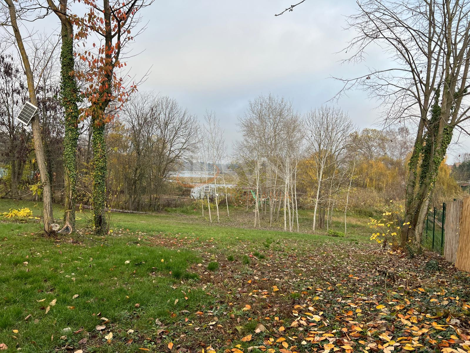 Teren 8000 mp Ilfov/Snagov