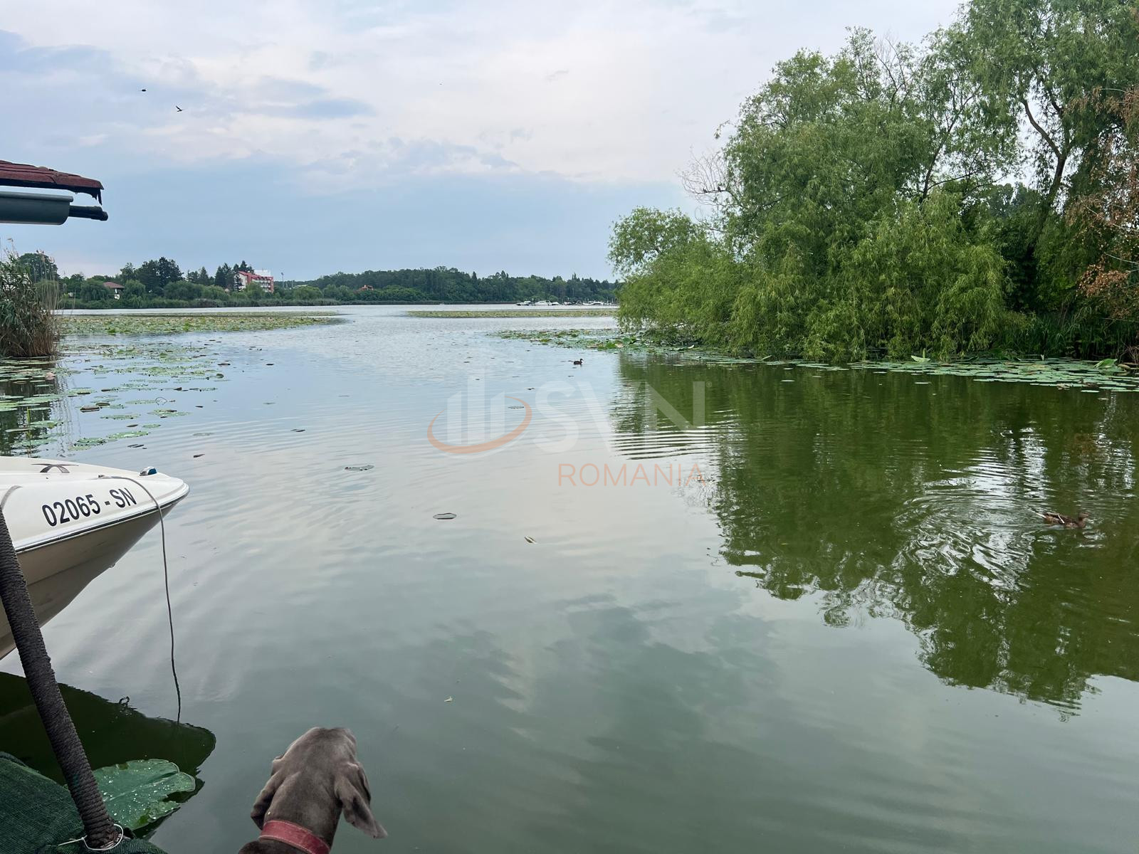 Teren 8000 mp Ilfov/Snagov