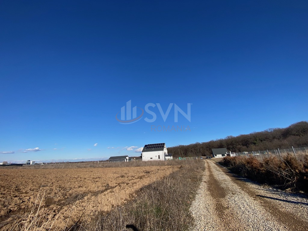 Teren 8100 mp Ilfov/Ciolpani