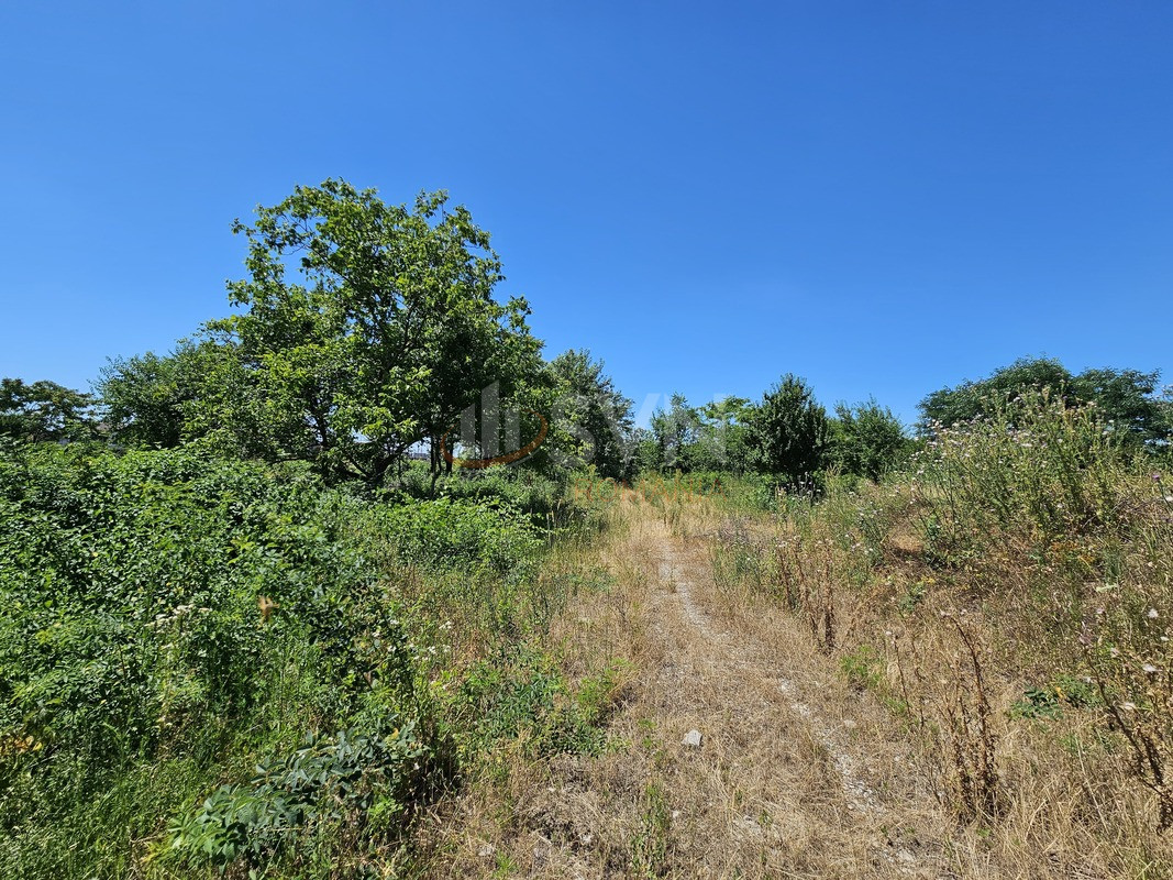 Teren 8227 mp Bucuresti/Baneasa