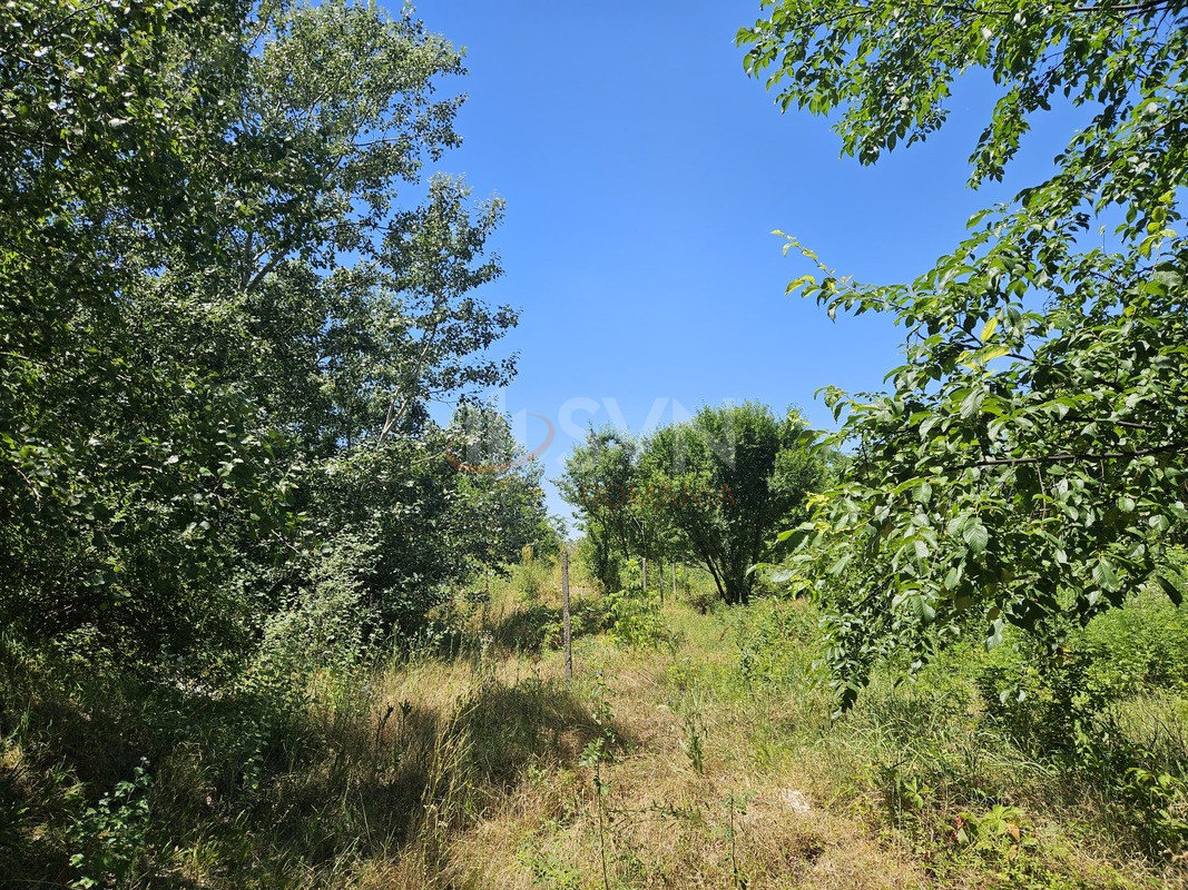 Teren 8227 mp Bucuresti/Baneasa