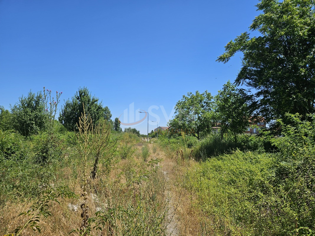 Teren 8227 mp Bucuresti/Baneasa