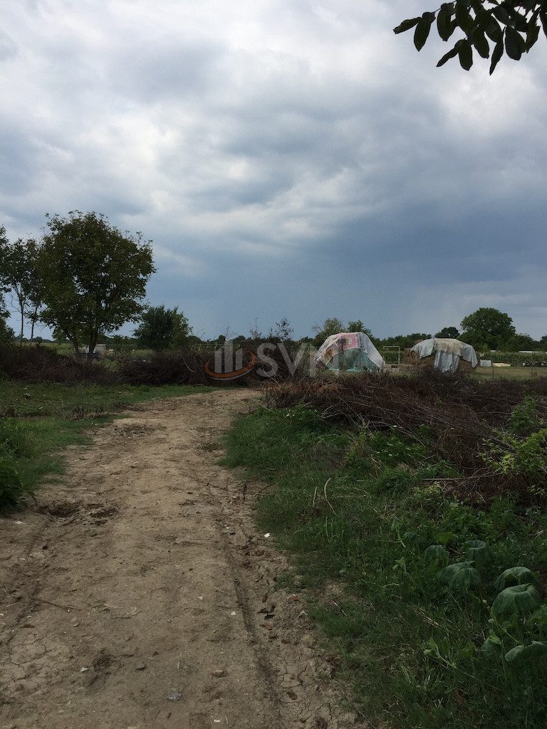 Teren 875 mp Ilfov/Ciolpani