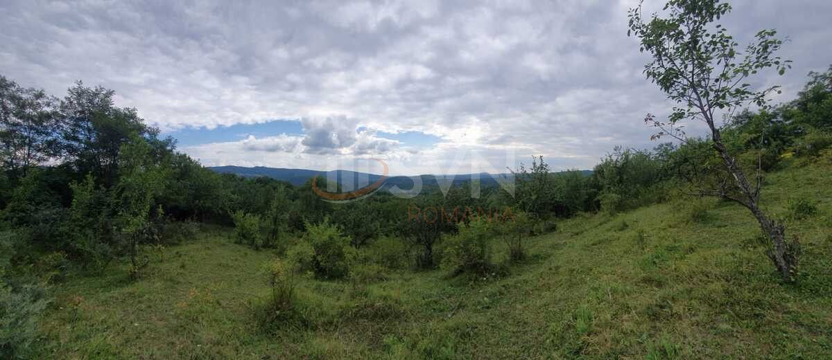 Teren 9000 mp Prahova/Centru