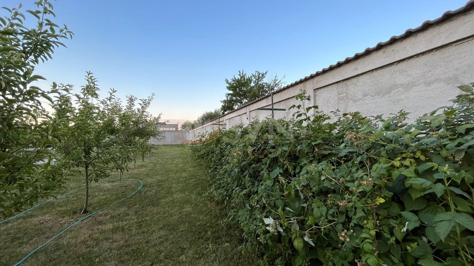 Teren 906 mp Dambovita/Centru