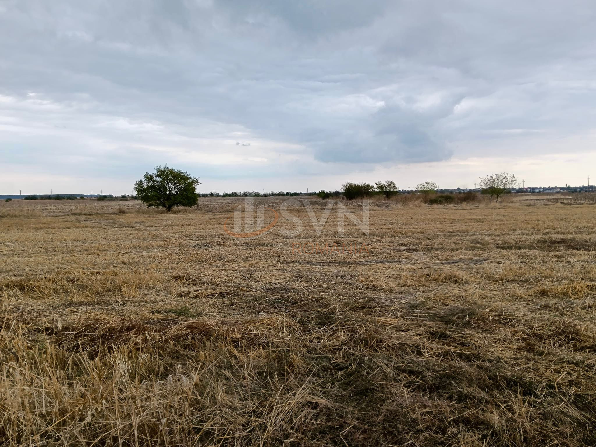 Teren 954 mp Ilfov/Cernica